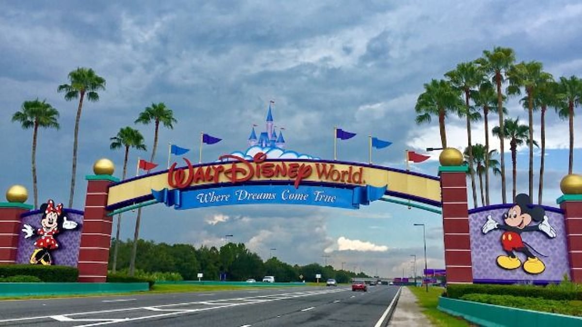 16 Disney World employees share the craziest thing they've seen at the park.