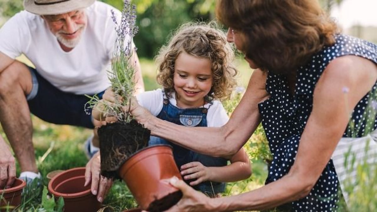 17 people share the new hobbies they'd recommend to others in the new year.