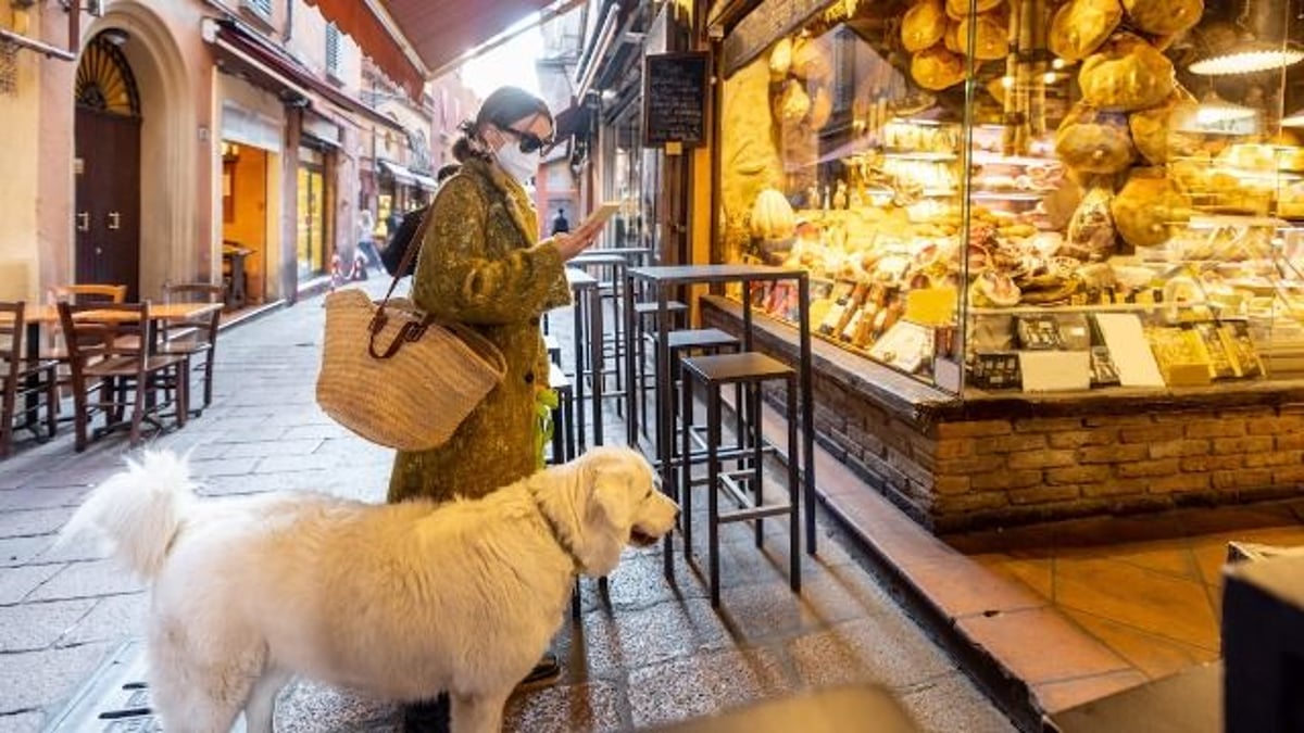 Woman yelled at for bringing dog into grocery store for 'no more than 10 mins.' AITA?