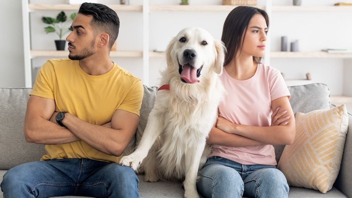 'AITA for loving my dog more than my boyfriend's kid?' UPDATED