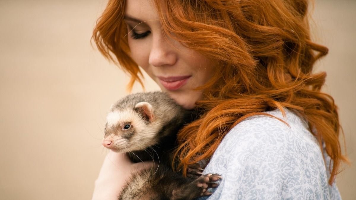'AITA for refusing to pay my friend after my ferret 'attacked' her $900 dress?'