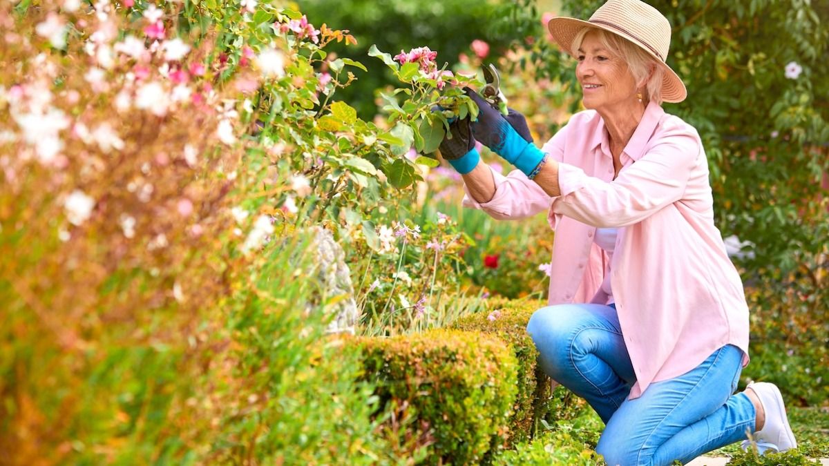 'AITA for telling my neighbor she can’t have my side of the garden? The landlord isn't helping.'
