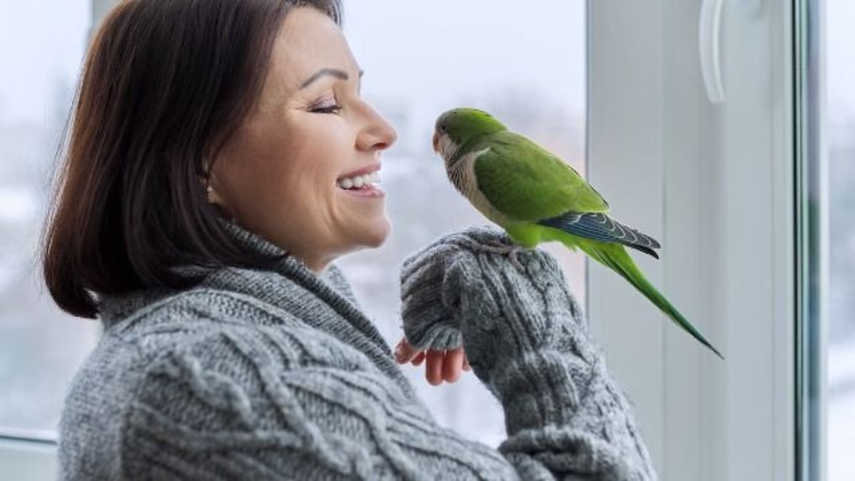 Stepmom skips stepdaughter's 'wedding prep week' because of high needs parrot. AITA?