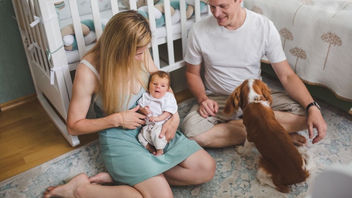 AITA for asking in-laws not to bring their dogs to visit our baby?' 'Let dogs be dogs.'