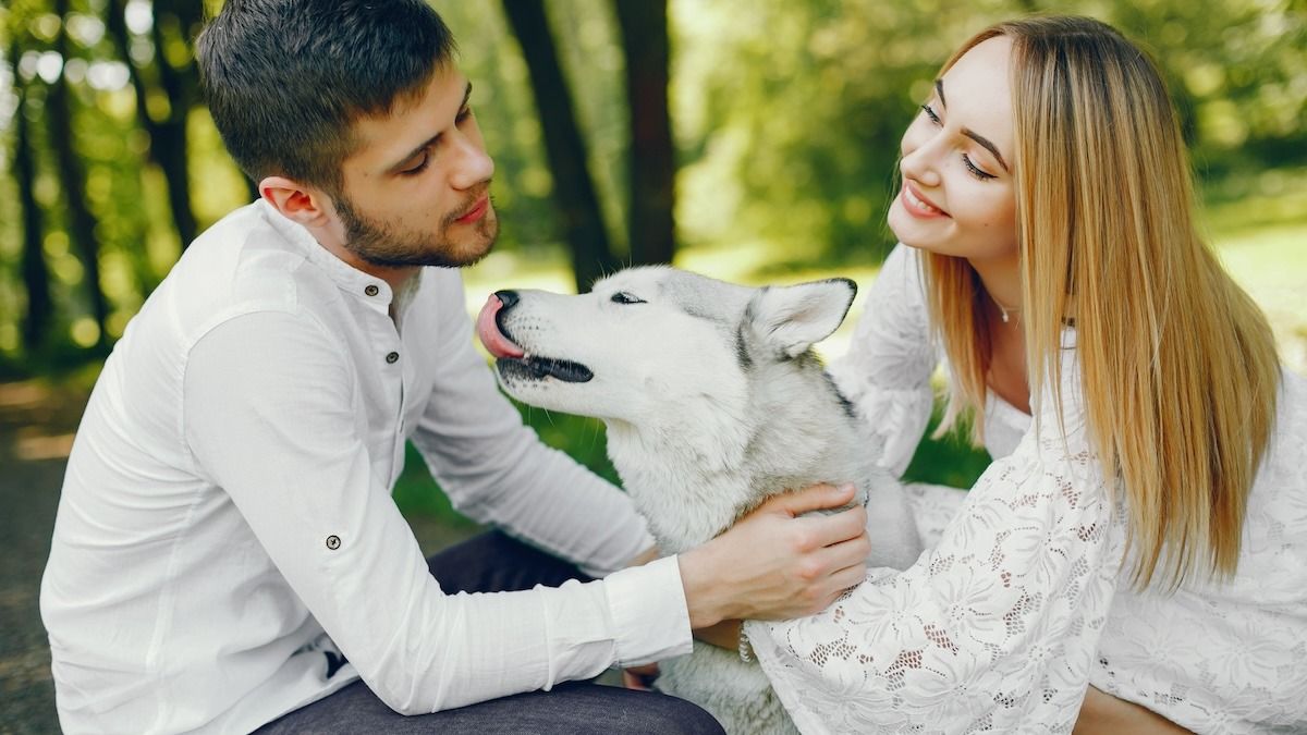 'AITA for considering breaking up with my GF because of her white-haired dog?' UPDATED