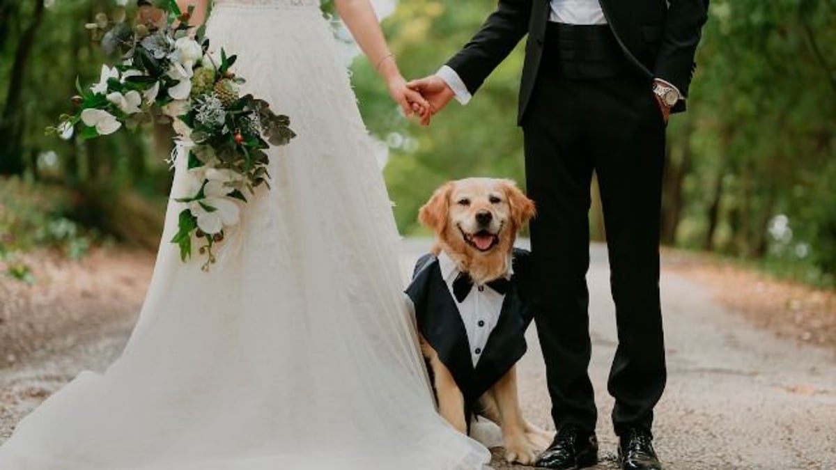 Bride has pets as flower girl and ring bearer, SIL demands 'rainbow baby' twins step in.