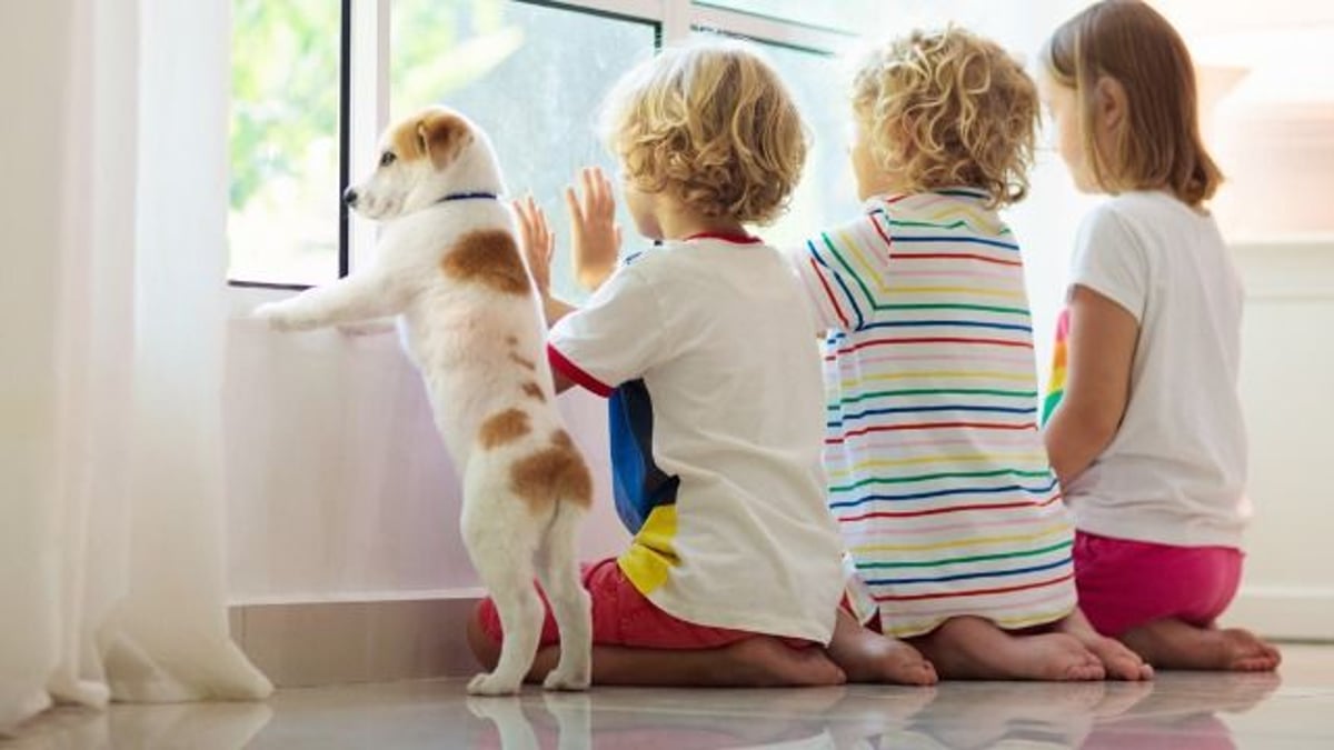 Man demands brother leave dog out of fam trip. ‘He says my toddler is far worse.’