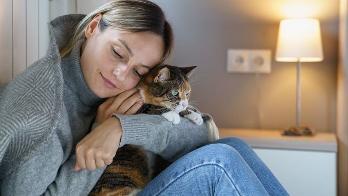 Family with autistic daughter wants to keep found cat; owner calls the cops.