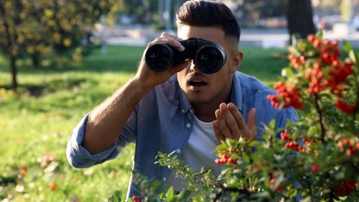 Soldier uses military tactics in his garden to enact petty revenge on neighbor.