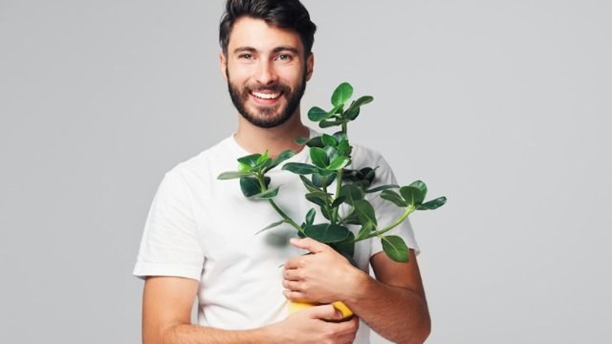 Man completely sabotages girlfriend's plants. AITA?