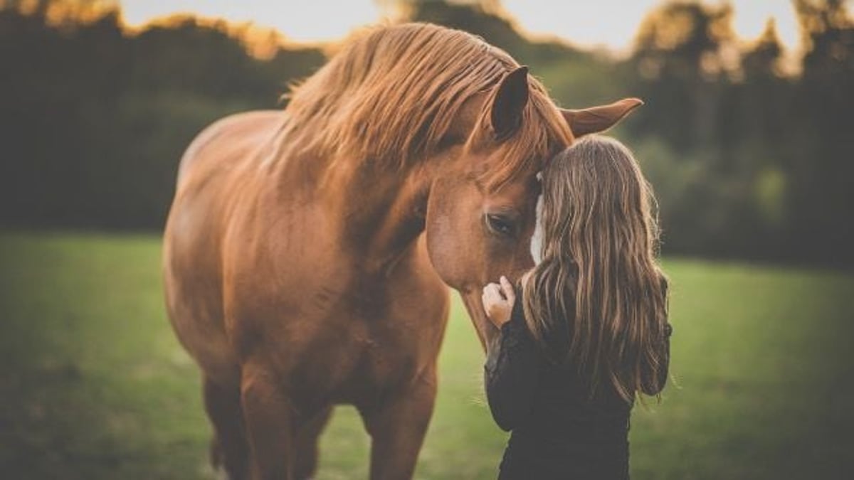 Mom uses 'very questionable' punishment tactic against teenage daughter.