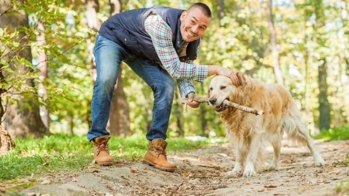 Man yells at dog owner, calls him 'f**king prick' after unleashed dog licks wife.