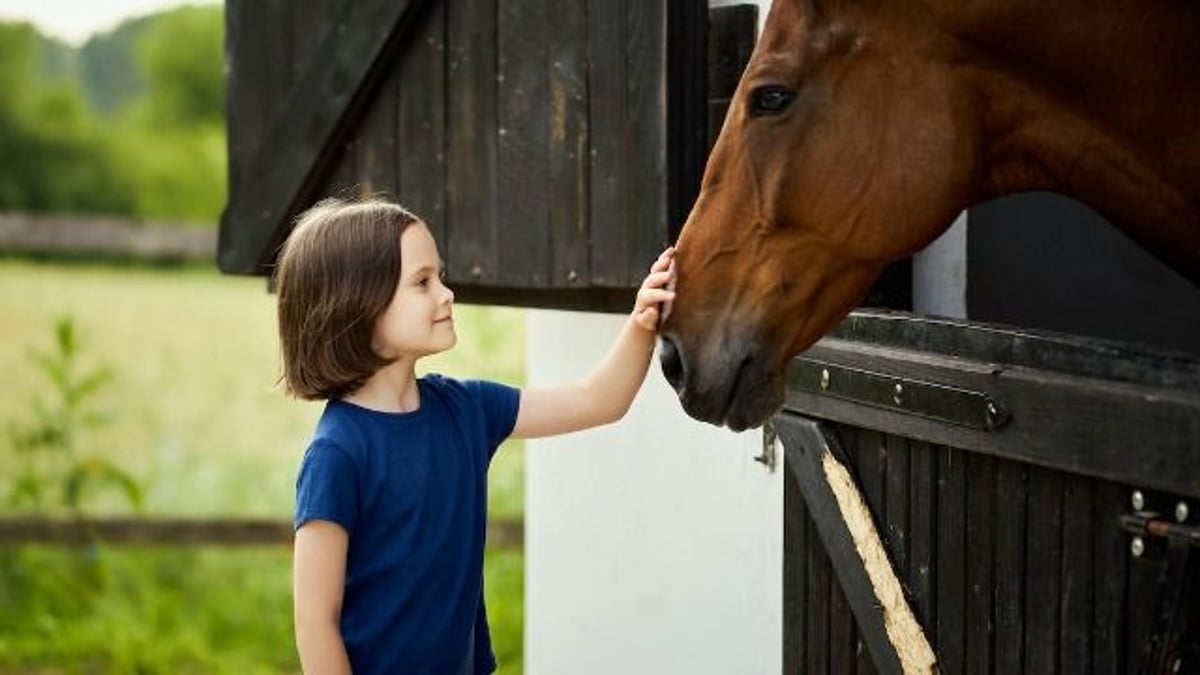 Mom with horse 'phobia' scolds friend for exposing child to horses.