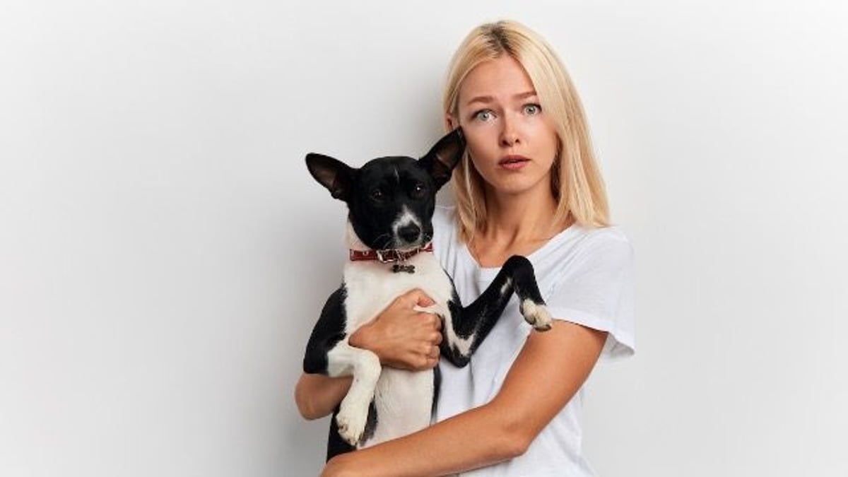Resident with dog refuses to get off elevator to accommodate neighbor with dog phobia.