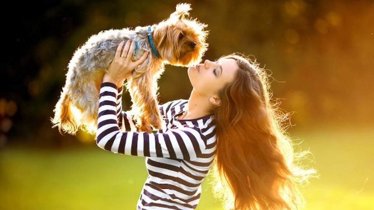 Woman brings puppy to kid's birthday party; MIL says the puppy is a present. AITA?