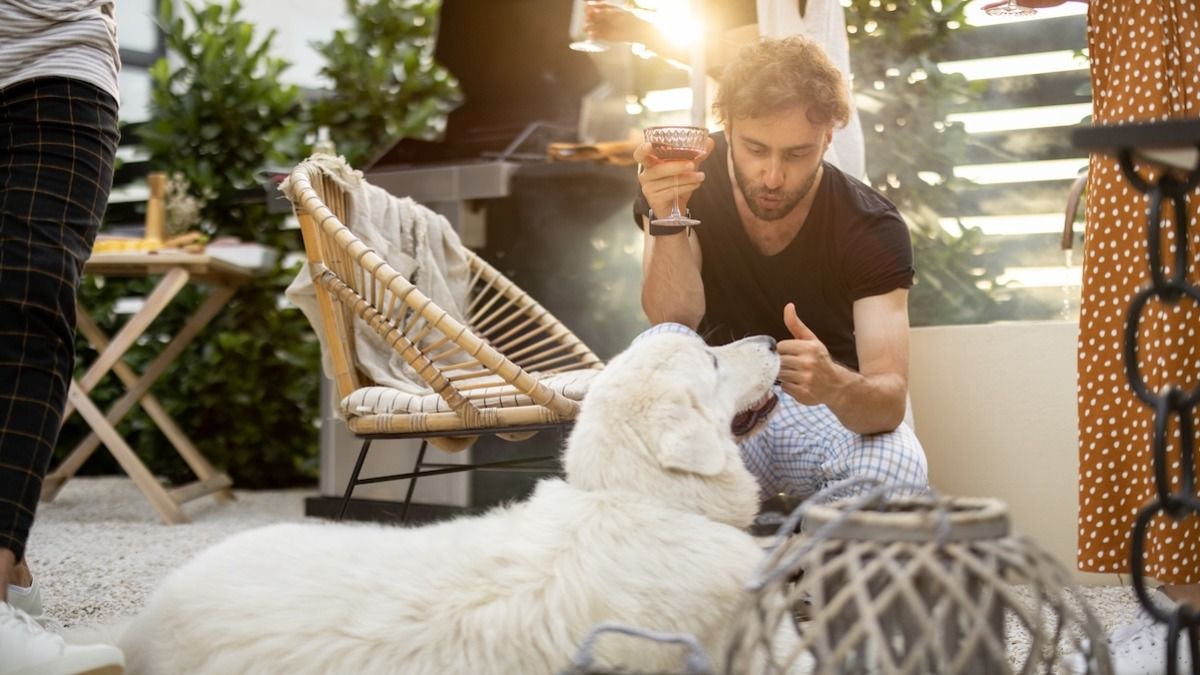 'AITA for telling my BIL my daughter is ugly? My wife overheard and is mad at me.' UPDATED