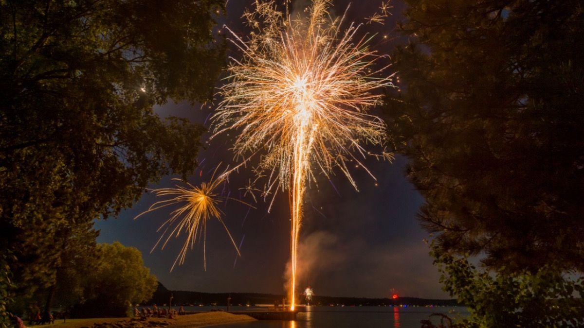 'AITA for telling my SIL to stay home from a family 4th of July gathering if her dog hates fireworks?'