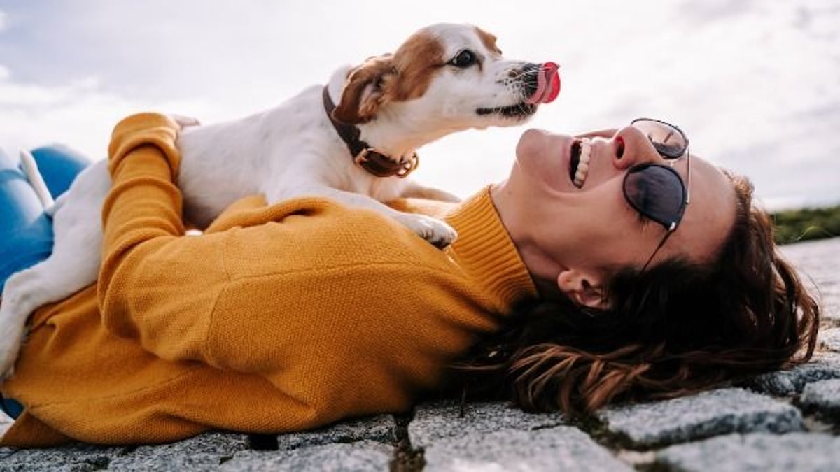 Man asked to temporarily watch ex's dog after they breakup; he gives dog away.