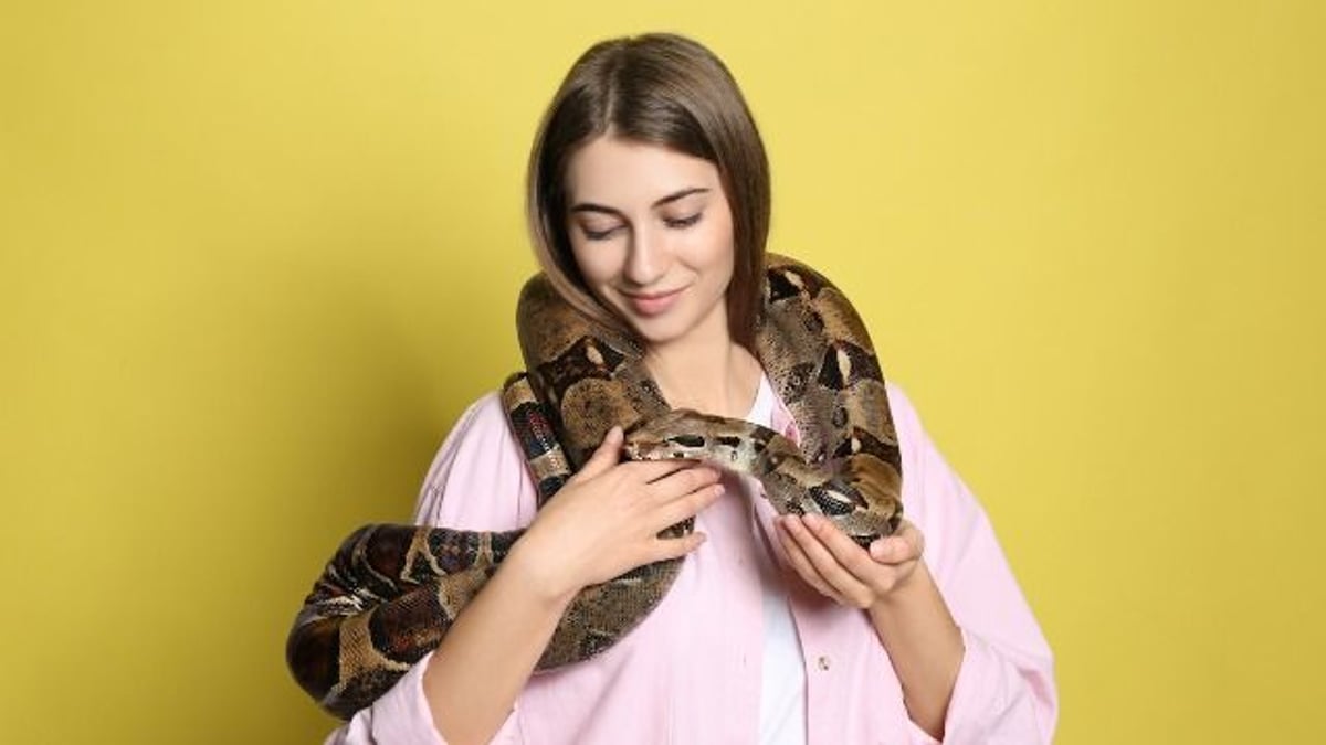 Woman's sues SIL for $75k over dead snakes; says, 'they mean everything to me.' AITA?