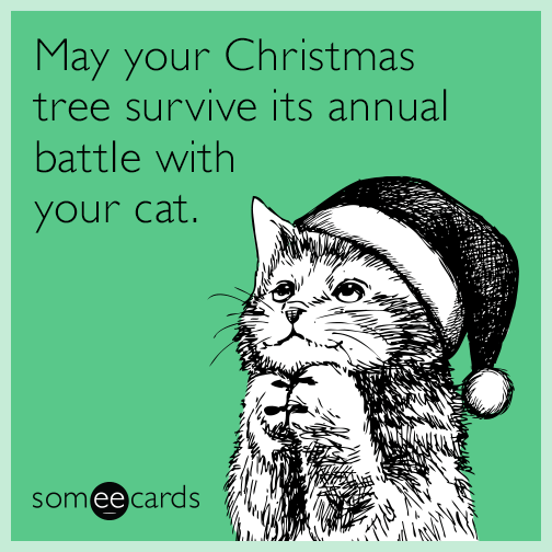 May your Christmas tree survive its annual battle with your cat.