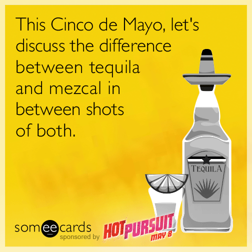 This Cinco de Mayo, let's discuss the difference between tequila and mezcal in between shots of both.