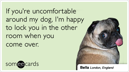 If you're uncomfortable around my dog, I'm happy to lock you in the other room when you come over.