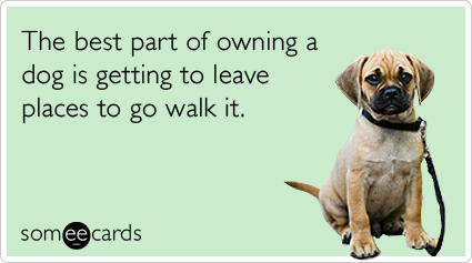 The best part of owning a dog is getting to leave places to go walk it.