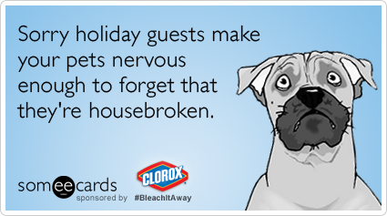 Sorry holiday guests make your pets nervous enough to forget that they're housebroken.