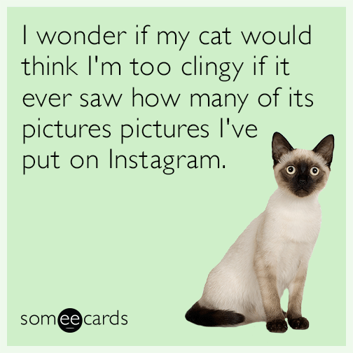 I wonder if my cat would think I'm too clingy if it ever saw how many of its pictures are on my Facebook page.