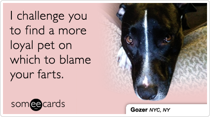 I challenge you to find a more loyal pet on which to blame your farts.