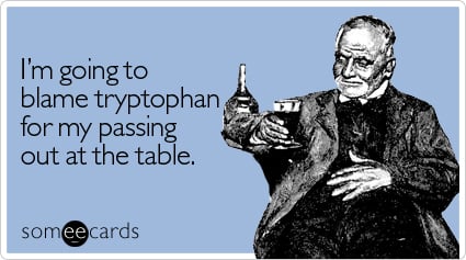 I'm going to blame tryptophan for my passing out at the table