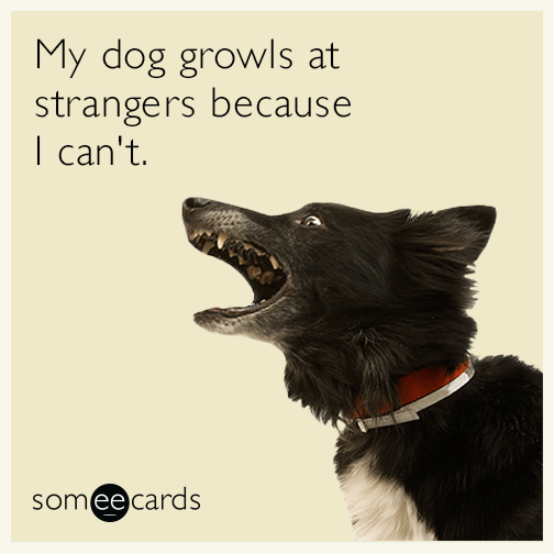 My dog growls at strangers because I can't.