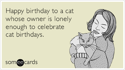 Happy birthday to a cat whose owner is lonely enough to celebrate cat birthdays.