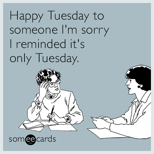 Happy Tuesday to someone I'm sorry I reminded it's only Tuesday.