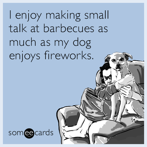 I enjoy making small talk at barbecues as much as my dog enjoys fireworks.