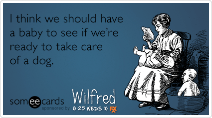 I think we should have a baby to see if we're ready to take care of a dog.