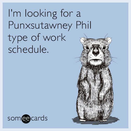 I'm looking for a Punxsutawney Phil type of work schedule.