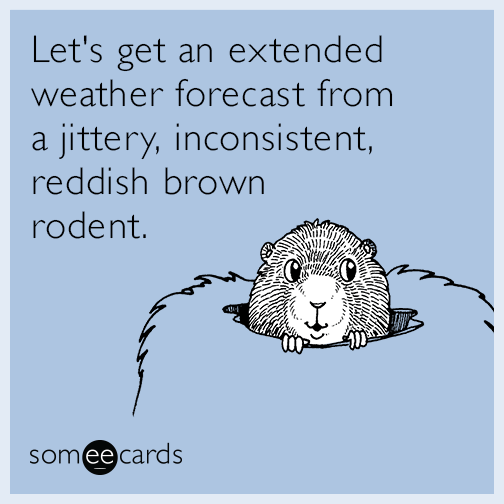 Let's get an extended weather forecast from a jittery, inconsistent, reddish brown rodent