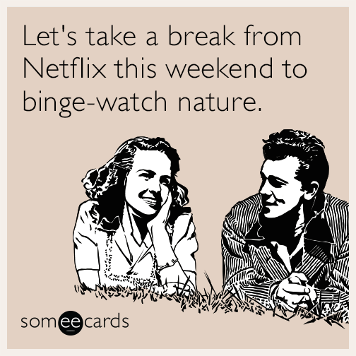 Let's take a break from Netflix this weekend to binge-watch nature.