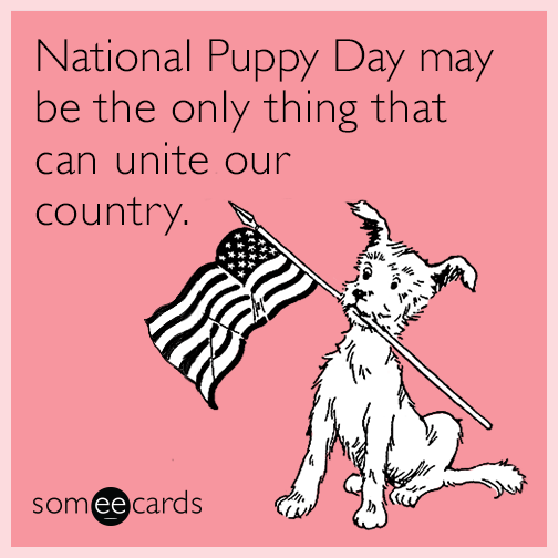 National Puppy Day may be the only thing that can unite our country.