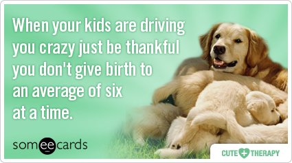 When your kids are driving you crazy just be thankful you don't give birth to an average of six at a time.