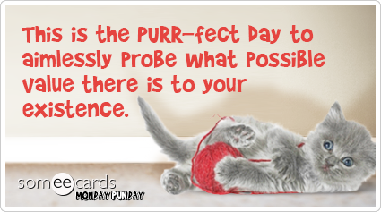 This is the Purr-fect day to aimlessly probe what possible value there is to your existence.