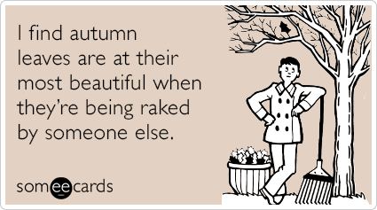 I find autumn leaves are at their most beautiful when they’re being raked by someone else.