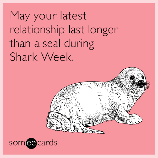 May your latest relationship last longer than a seal during Shark Week.