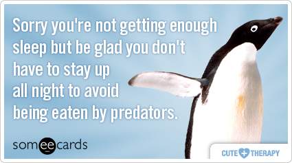 Sorry you're not getting enough sleep but be glad you don't have to stay up all night to avoid being eaten by predators.