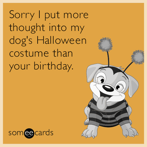 Sorry I put more thought into my dog's Halloween costume than your birthday.