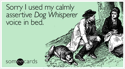 Sorry I used my calmly assertive Dog Whisperer voice in bed