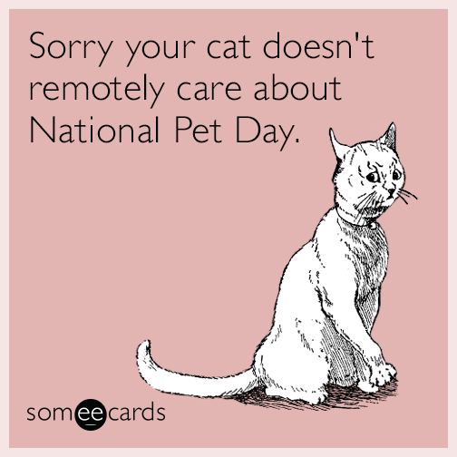 Sorry your cat doesn't remotely care about National Pet Day.