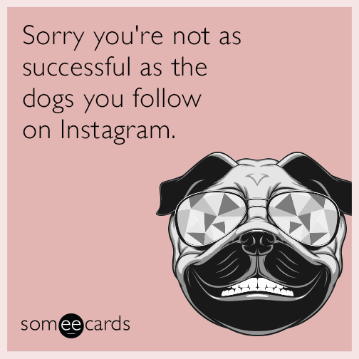 Sorry you're not as successful as the dogs you follow on Instagram.