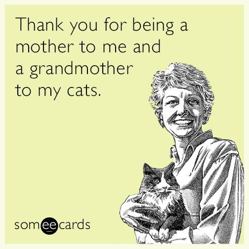 Thank you for being a mother to me and a grandmother to my cats.